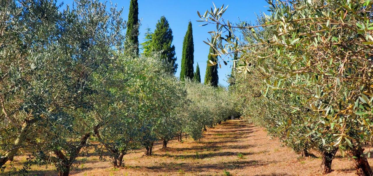 La Volpaia 1521 Βίλα Barberino di Val dʼElsa Εξωτερικό φωτογραφία