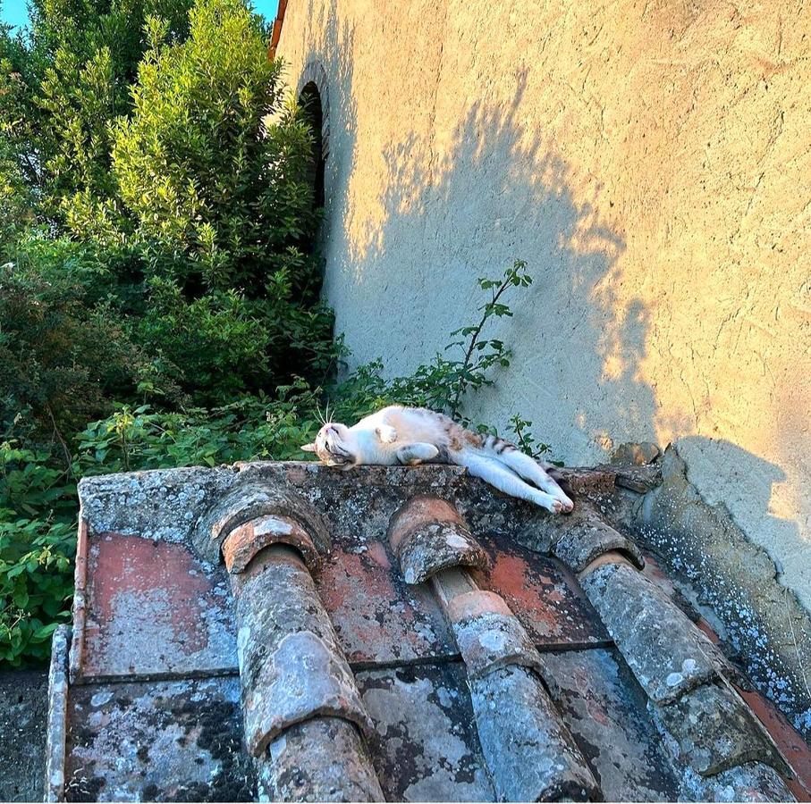 La Volpaia 1521 Βίλα Barberino di Val dʼElsa Εξωτερικό φωτογραφία