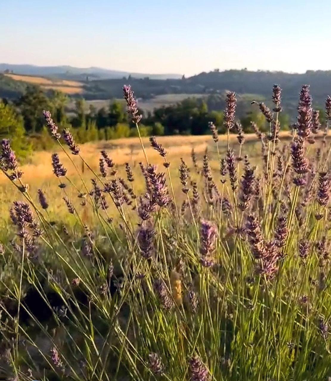 La Volpaia 1521 Βίλα Barberino di Val dʼElsa Εξωτερικό φωτογραφία